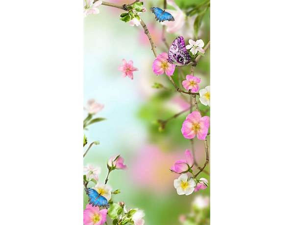 Pink Flowers Live Wallpaper for Android - Download the APK from Habererciyes